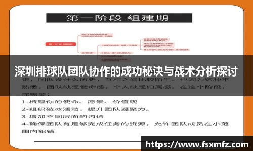 深圳排球队团队协作的成功秘诀与战术分析探讨